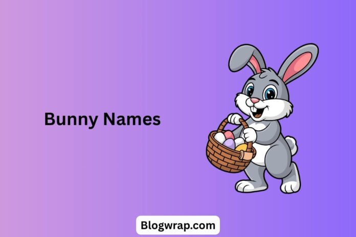Bunny Names Bunny Names