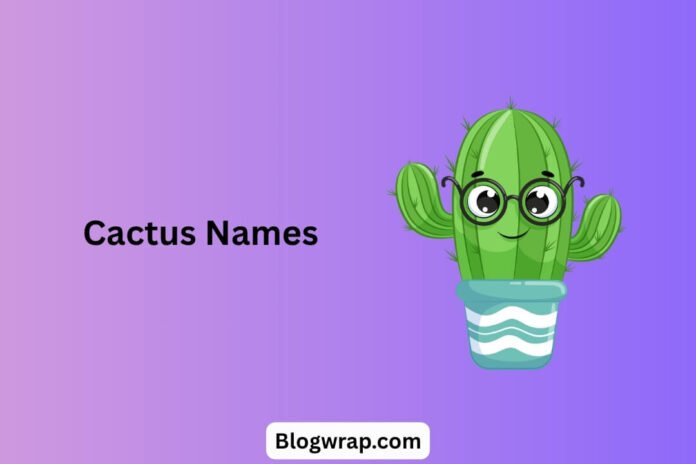 Cactus Names Cactus Names