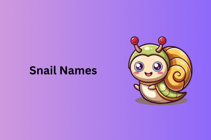 Snail Names Snail Names