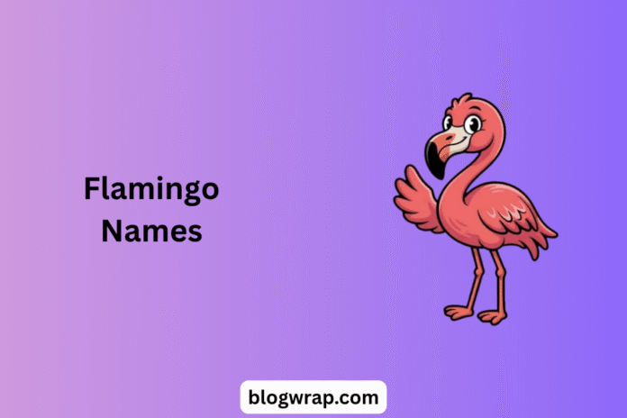 Flamingo Names