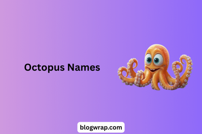 Octopus Names