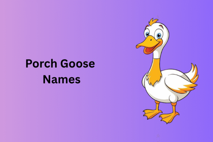 Porch Goose Names