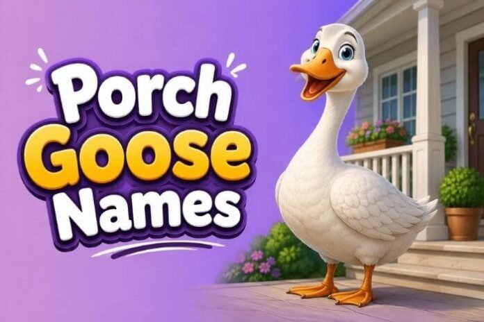 Porch Goose Names