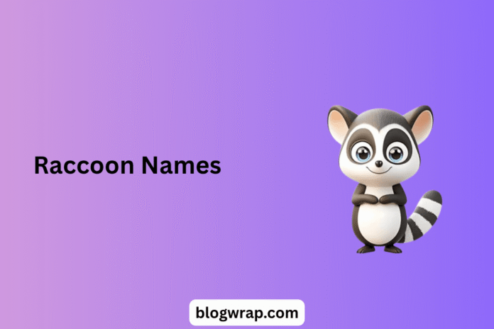 Raccoon Names