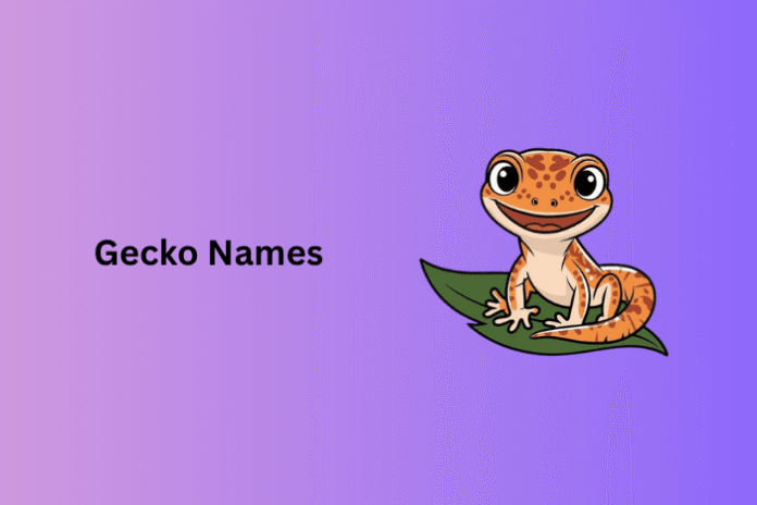 Gecko Names