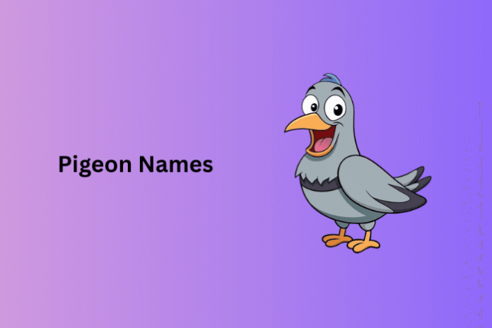Pigeon Names