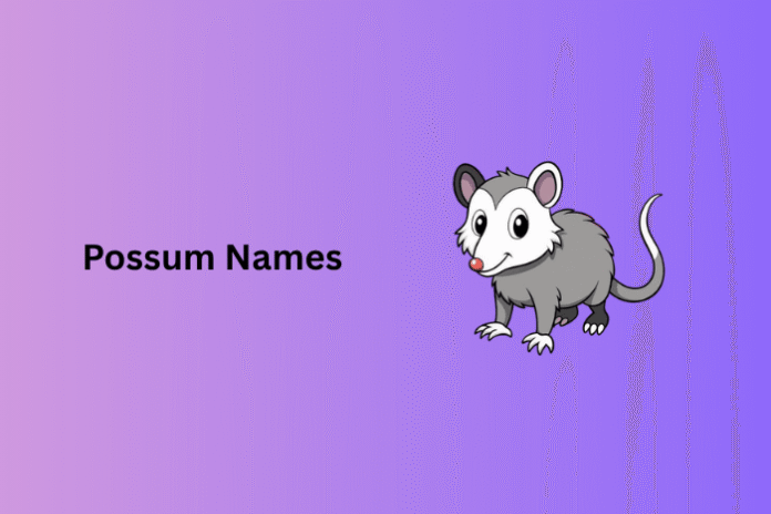 Possum Names Possum Names